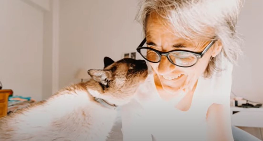 Why Is My Cat Obsessed With My Face? KittenWiki