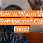 How to Warm Up Refrigerated Cat Food?