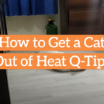 How to Get a Cat Out of Heat Q-Tip?