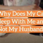 Why Does My Cat Sleep With Me and Not My Husband?