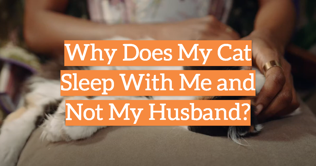 Why Does My Cat Sleep With Me and Not My Husband?