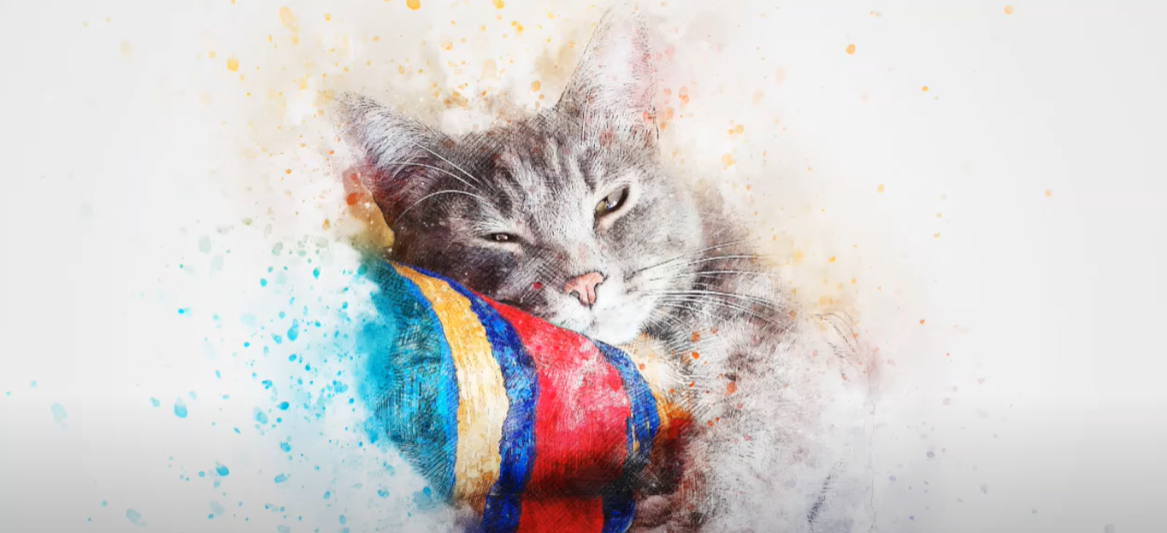 Why Does My Cat Lay On My Clothes? KittenWiki