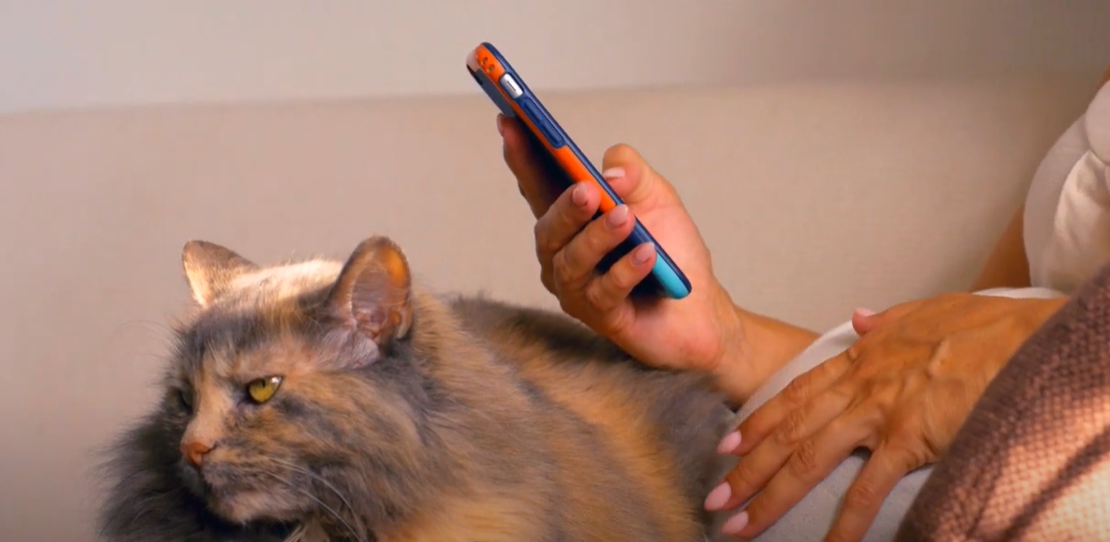 Why Is My Cat Clingy When I’m on My Period? KittenWiki