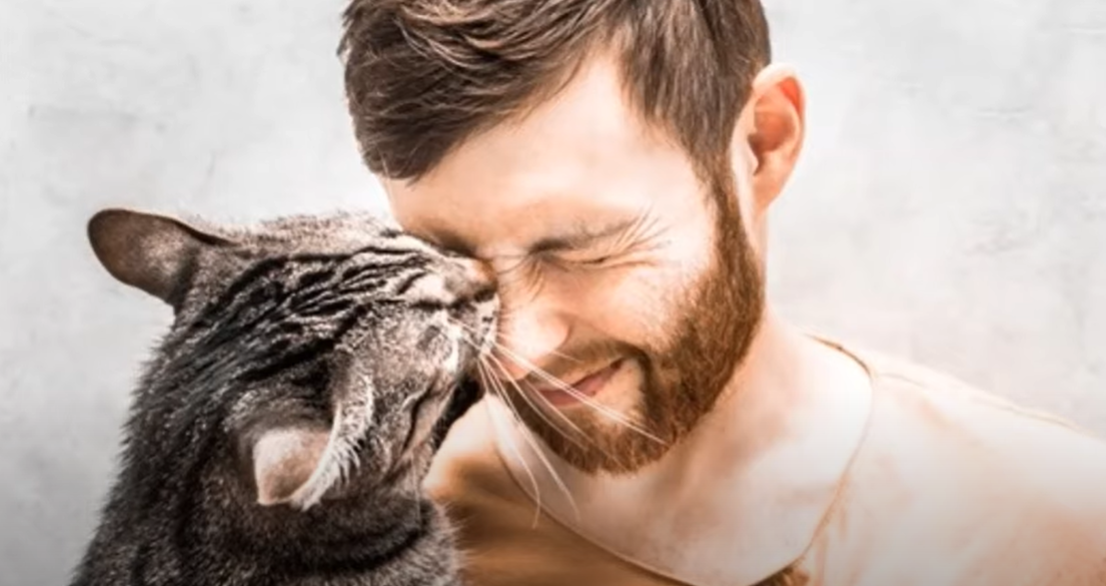 Why Is My Cat Obsessed With My Face? KittenWiki