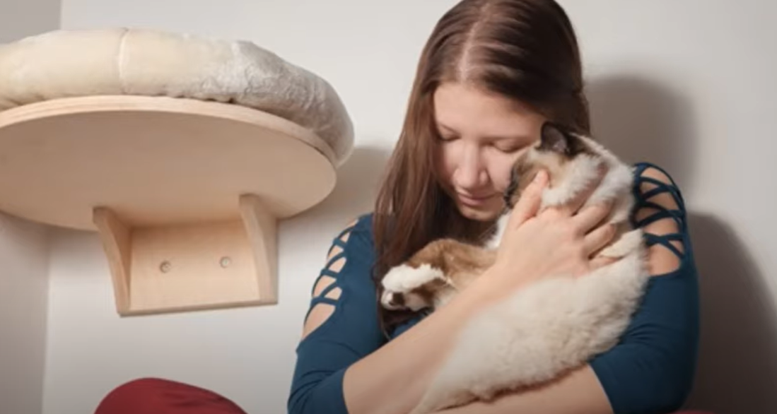 Why Is My Cat Obsessed With My Face? KittenWiki