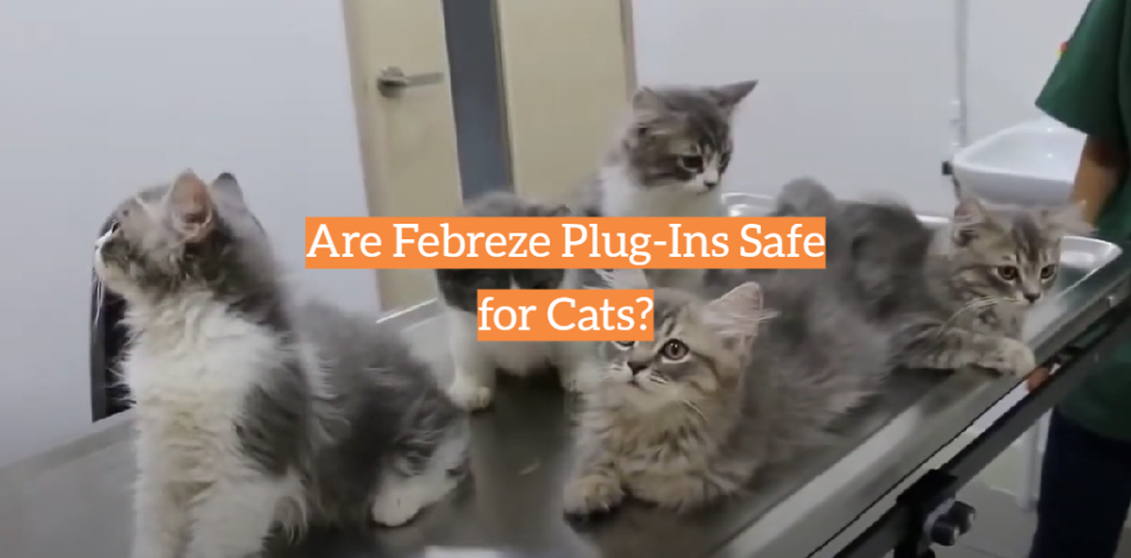 Are Febreze PlugIns Safe for Cats? KittenWiki