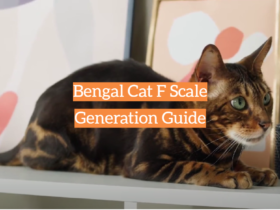 Bengal Cat F Scale Generation Guide