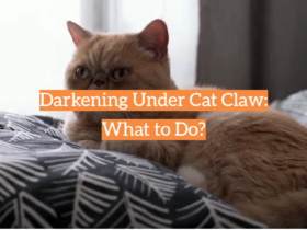 Darkening Under Cat Claw: What to Do?