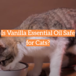 Is Vanilla Essential Oil Safe for Cats?
