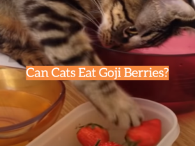 Can Cats Eat Goji Berries?