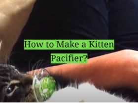 How to Make a Kitten Pacifier?
