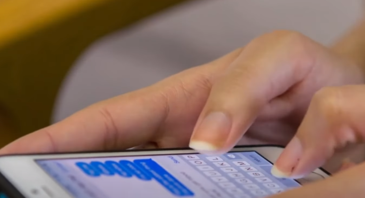 Why Does My Cat Rub His Face on My Phone? KittenWiki