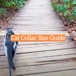 Cat Collar Size Guide