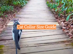 Cat Collar Size Guide